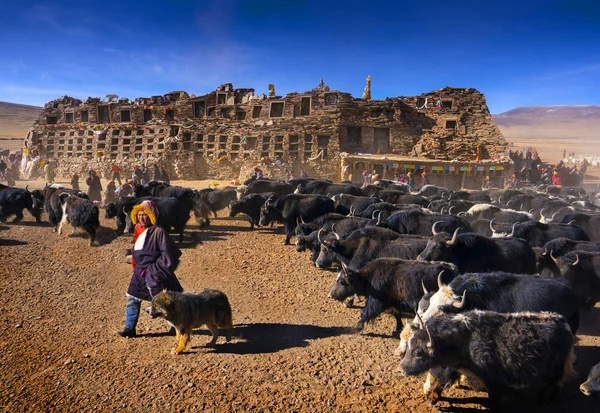 Qinghai Tibet Yaylası Avalokiteshvara Festival