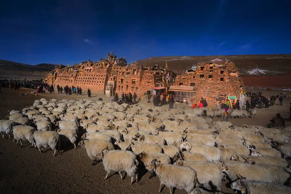Qinghai Tibet Yaylası Avalokiteshvara Festival