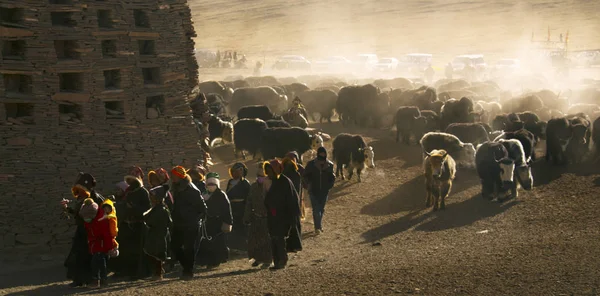 青海チベット高原の観音祭 ロイヤリティフリーのストック画像