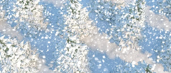 Paisagem de Natal Árvores de Natal cobertas de neve vista superior — Fotografia de Stock