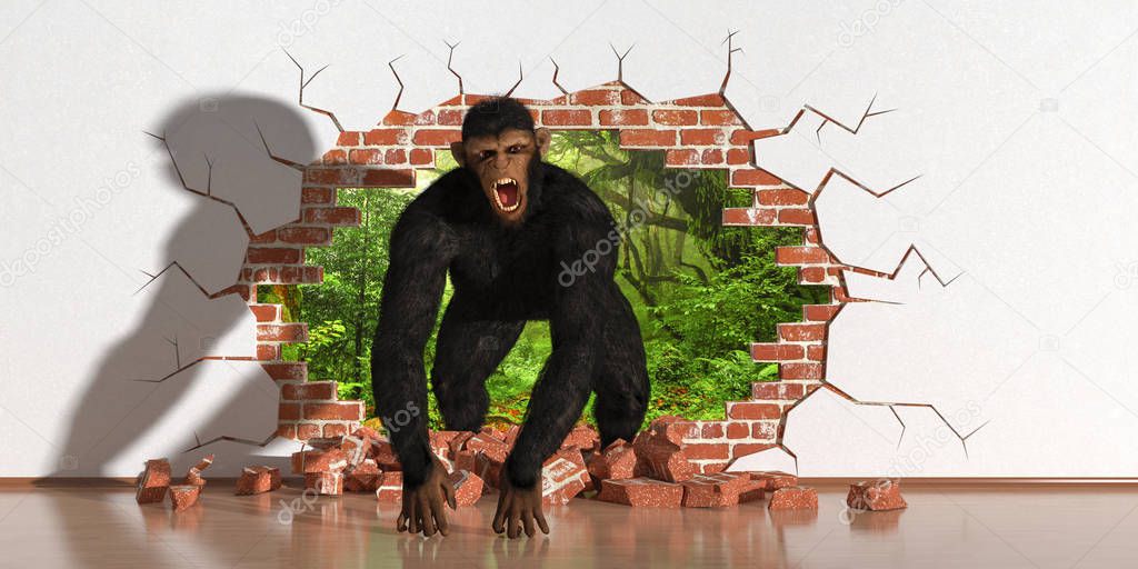 chimpanzee emerging from a fault in the wall