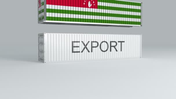 Контейнер Abhkazia Прапором Падіння Верхній Частині Контейнера Написом Export Розбиває — стокове відео