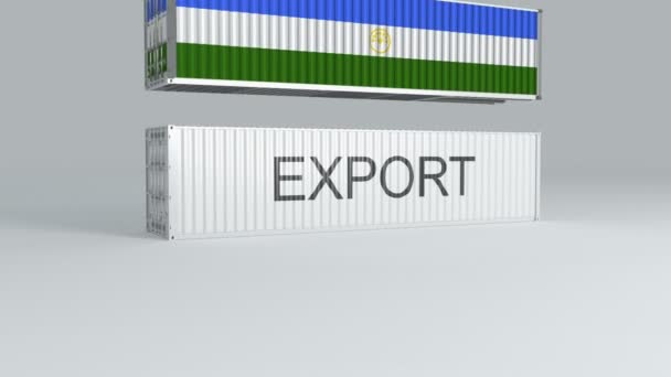 Baschkortostan Container Mit Der Flagge Des Sturzes Auf Einem Behälter — Stockvideo