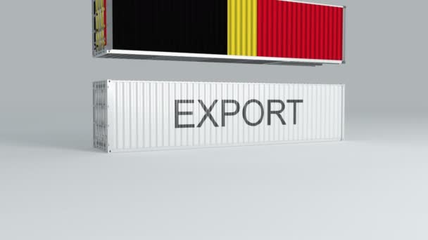 Belgium Lobogója Alatt Közlekedő Konténer Egy Export Címkével Ellátott Konténer — Stock videók