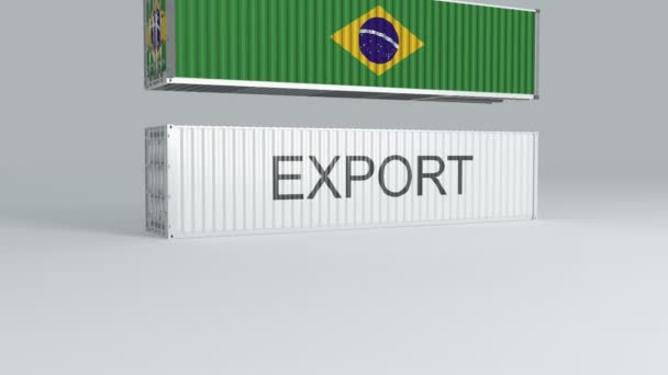 Brazil Container Flag Falls Top Container Labeled Export Breaks — Stock Video