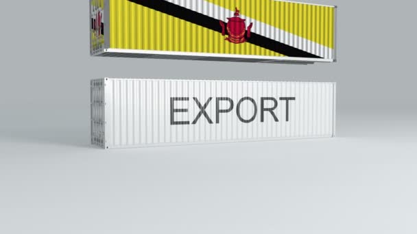 Brunei Container Mit Der Flagge Des Sturzes Auf Einem Behälter — Stockvideo