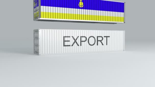 在一个标有Export的集装箱上挂上落旗的Buryatia集装箱并将其拆开 — 图库视频影像