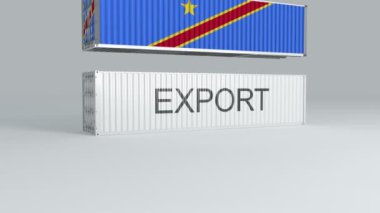 Kongo Demokratik Cumhuriyeti konteynırı üzerinde bayrak olan EXPORT etiketli bir konteynırın üzerine düştü ve onu kırdı.