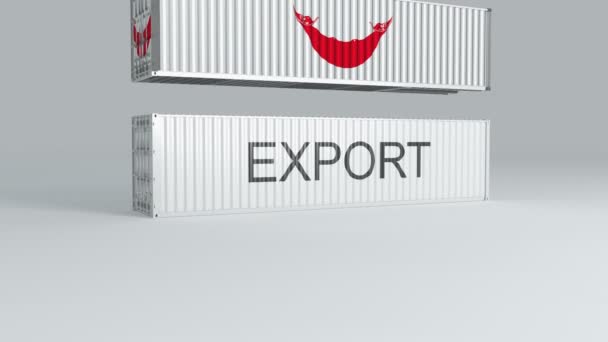 拉帕努伊集装箱 其船旗落在标有Export的集装箱上并将其折断 — 图库视频影像