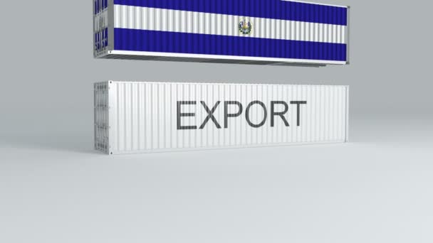 Recipiente Salvador Com Bandeira Quedas Cima Contêiner Rotulado Exportação Quebra — Vídeo de Stock