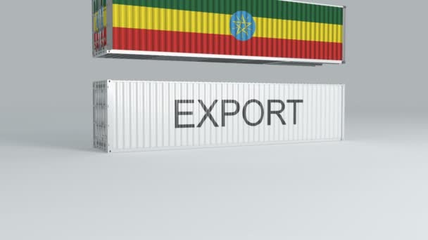 Ethiopië Container Met Vlag Van Vallen Top Van Een Container — Stockvideo