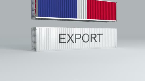 Frankrike Container Med Flaggan Faller Toppen Container Märkt Export Och — Stockvideo