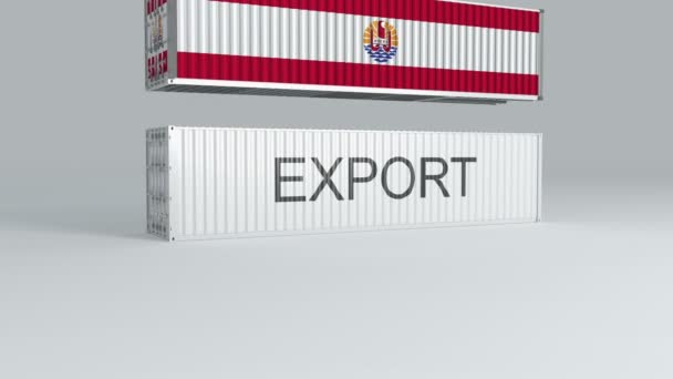 Французький Контейнер Полінезії Прапором Падає Верхній Контейнер Написом Export Розбиває — стокове відео