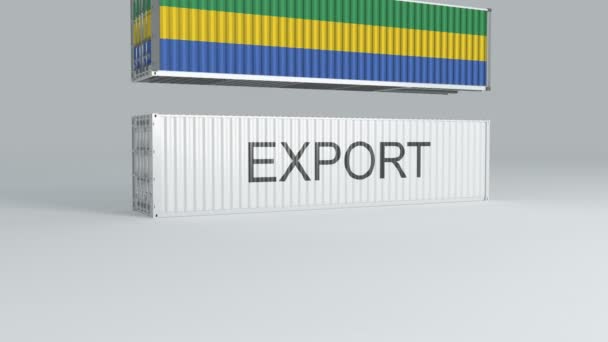 Gabon Tartály Zászló Alá Esik Egy Konténer Tetején Felcímkézett Export — Stock videók