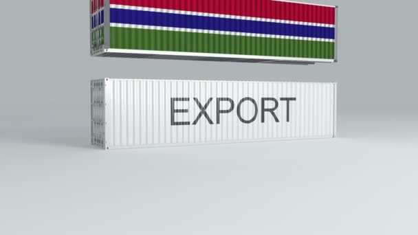 Gâmbia Recipiente Com Bandeira Quedas Cima Recipiente Rotulado Exportação Quebra — Vídeo de Stock