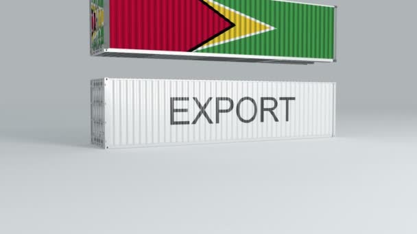 Üzerinde Export Yazan Bir Konteynırın Üzerine Düşen Bayrak Olan Guyana — Stok video