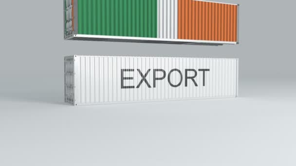 Contenitore Irlanda Con Bandiera Delle Cadute Sopra Contenitore Etichettato Export — Video Stock