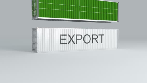 Ladonia Container Flag Falls Top Container Labeled Export Breaks — Stock Video