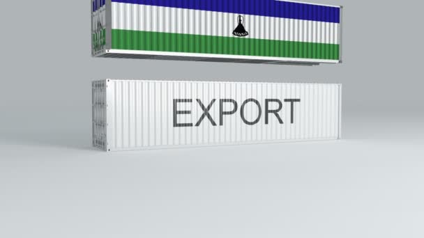 Лесото Контейнер Флагом Падает Крышу Контейнера Надписью Export Ломает — стоковое видео