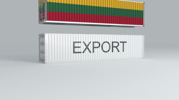 Litvánia Zászlóval Ellátott Konténere Egy Export Címkével Ellátott Konténer Tetejére — Stock videók