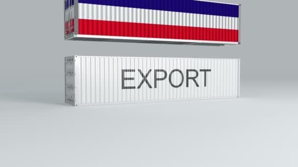 Контейнер Los Altos Прапором Падає Контейнер Під Назвою Export Розбиває — стокове відео