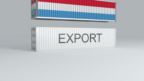 Conteneur Luxembourgeois Avec Drapeau Tombe Sur Conteneur Étiqueté Export Casse — Video