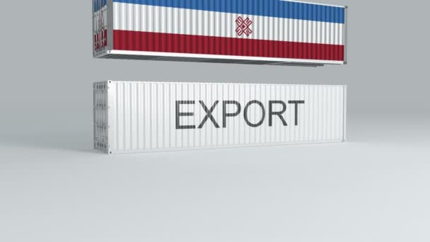 Mari Contenedor Con Bandera Cae Encima Contenedor Etiquetado Exportar Rompe — Vídeos de Stock