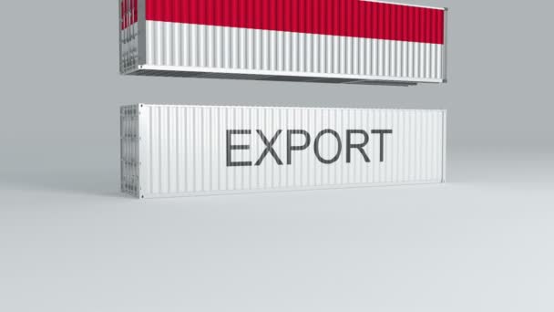 Monaco Tartály Zászló Esik Tetején Egy Konténer Címkézett Export Eltöri — Stock videók