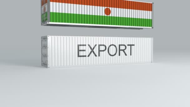 Niger Conteneur Avec Drapeau Tombe Sur Conteneur Étiqueté Export Brise — Video