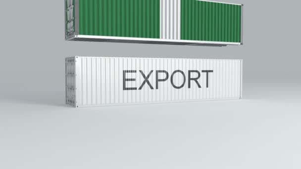 Nigeria Contenitore Con Bandiera Cade Sopra Contenitore Etichettato Export Rompe — Video Stock
