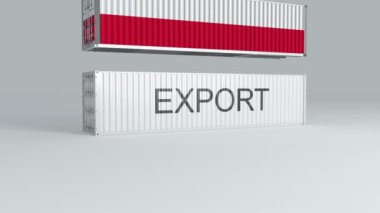 Bayrağı taşıyan Polonya konteynırı EXPORT etiketli bir konteynırın üzerine düştü ve onu kırdı.