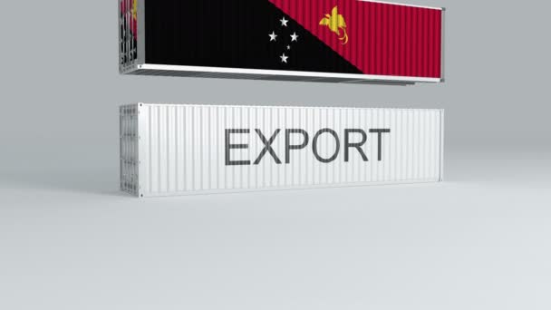 Контейнер Папуа Новая Гвинея Флагом Падает Крышу Контейнера Надписью Export — стоковое видео