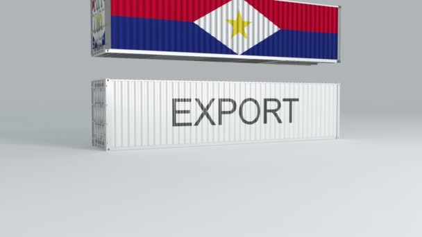 Saba Container Met Vlag Valt Bovenop Een Container Met Het — Stockvideo