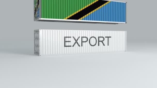 Contenedor Tanzania Con Bandera Cae Parte Superior Contenedor Etiquetado Exportar — Vídeo de stock