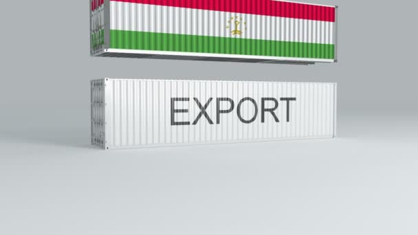 Container Del Tagikistan Con Bandiera Cade Container Etichettato Export Rompe — Video Stock