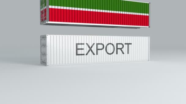 Bayrağı Taşıyan Tataristan Konteynırı Export Etiketli Bir Konteynırın Üzerine Düşüyor — Stok video