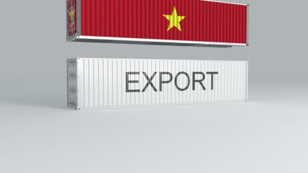 Contenedor Vietnam Con Bandera Cae Parte Superior Contenedor Etiquetado Exportar — Vídeo de stock