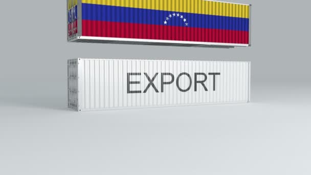 Üzerinde Bayrak Olan Venezuela Konteynırı Export Etiketi Olan Bir Konteynırın — Stok video
