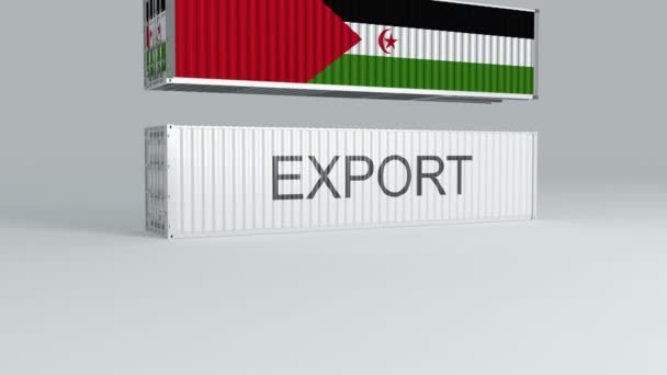 Bayraklı Batı Sahra Konteynırı Export Etiketli Bir Konteynırın Üzerine Düşüyor — Stok video