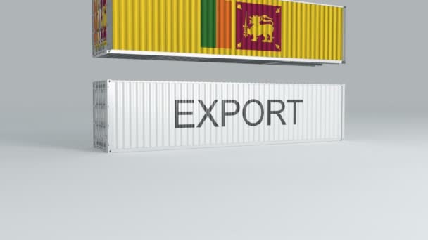 Sri Lanka Container Met Vlag Valt Bovenop Een Container Met — Stockvideo