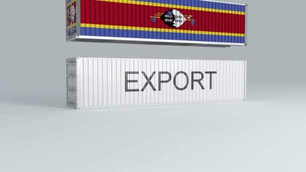 Suazilandia Contenedor Con Bandera Cae Parte Superior Contenedor Etiquetado Exportar — Vídeo de stock