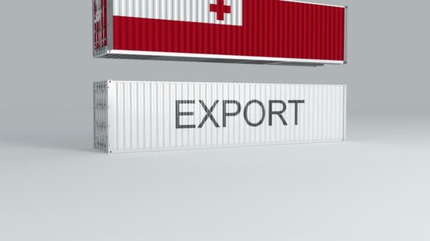 Tonga Container Flag Falls Top Container Labeled Export Breaks — Stock Video