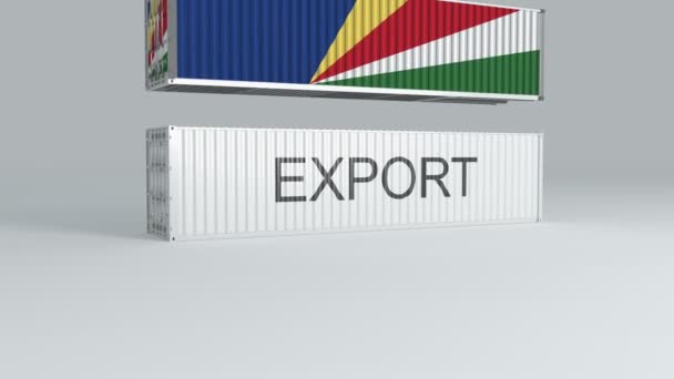 Container Van Seychellen Met Vlag Valt Bovenop Een Container Met — Stockvideo