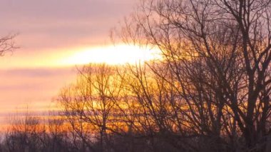 Kış ağaçlarının arka planında güzel bir günbatımı.