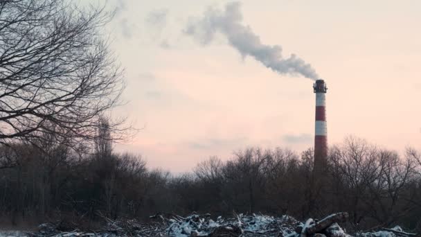 Cheminée Une Chaufferie Polluant Environnement Contre Ciel Gris — Video