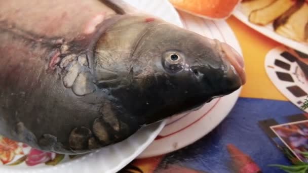 Kesme Tahtasına Yakın Plan Ham Ayna Sazan Balığı — Stok video
