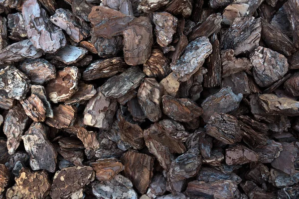 Ağaç kabuğu dekoratif doku 