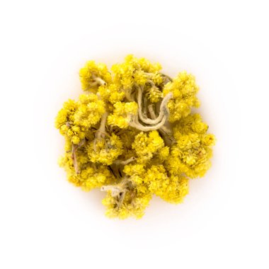 Helichrysum çay beyaz