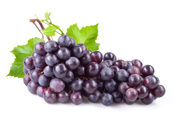 Ciemne winogrona izolowane na białym tle — Zdjęcie stockowe