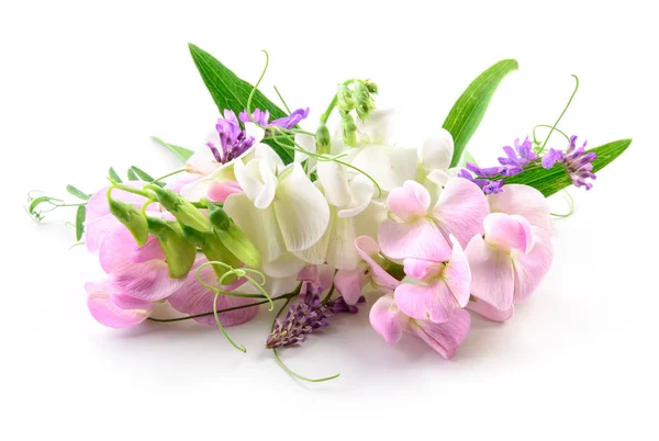Gyönyörű virágok. Virágmintás — Stock Fotó